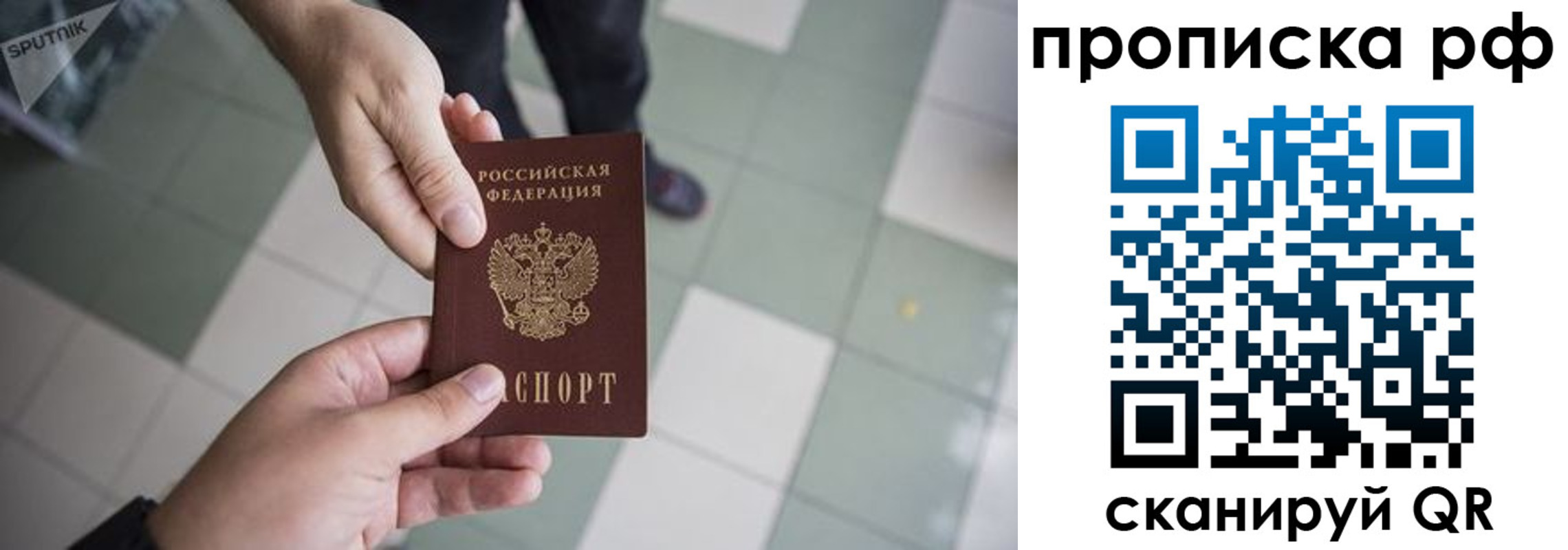 прописка гарантия в Дальнегорске